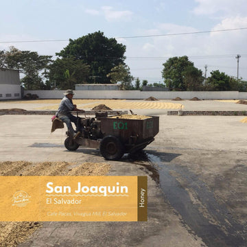 El Salvador | San Joaquin | Red Bourbon | Honey | Espresso - Proud Mary Coffee Melbourne