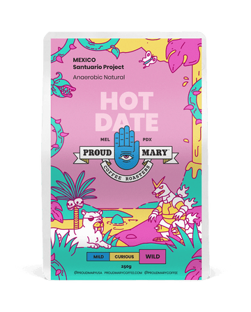 MEXICO | Santuario Project | Red Bourbon | Anaerobic Natural